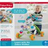 Baby Ken Black Toys | Fisher-Price Learn With Me Zebra Walker