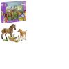 Toys Ken Black Toys | Schleich Horse Club 42432 Sarah'S Baby Animal Care Set