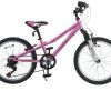 Outdoor Ken Black Toys | Mystic 20 Inch Bike