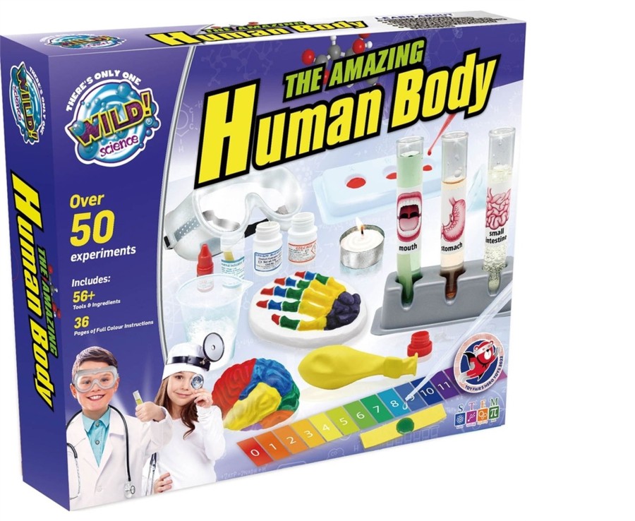 Learning & Education Ken Black Toys | Wild Science The Amazing Human Body Set