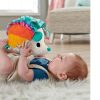 Toys Ken Black Toys | Fisher-Price Cuddle N' Snuggle Hedgehog Toy