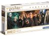 Learning & Education Ken Black Toys | Panorama Harry Potter 1000 Pc Panorama Puzzle