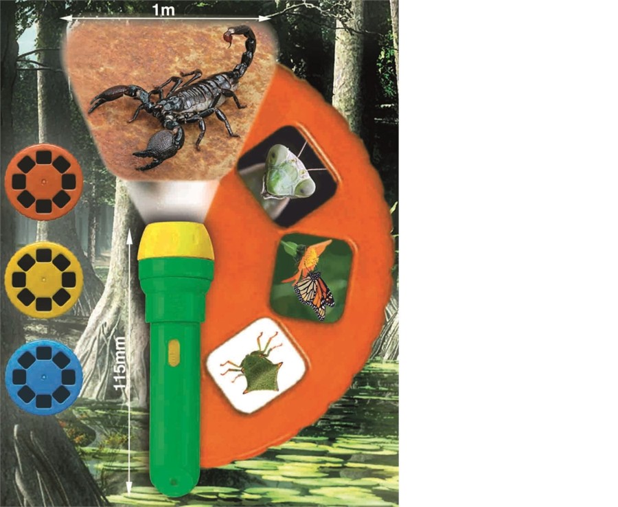 Learning & Education Ken Black Toys | Natural History Museum Creepy Crawly Torch And Projector