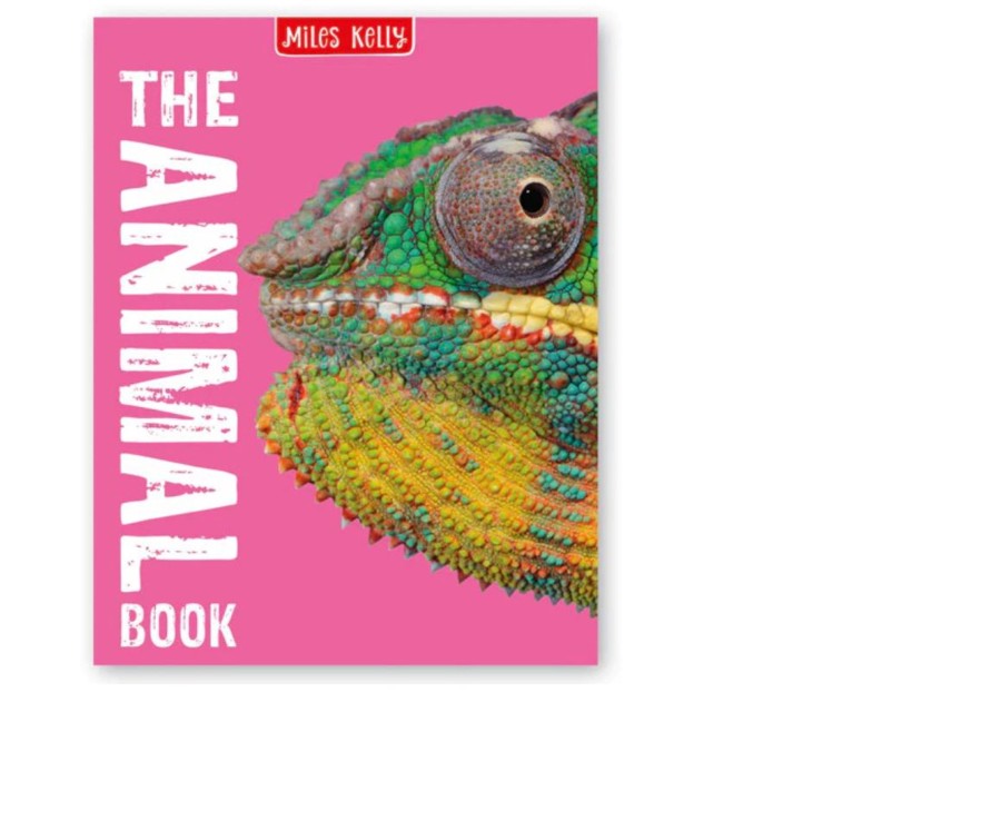 Learning & Education Ken Black Toys | The Animal Book