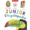 Learning & Education Ken Black Toys | Junior Encyclopedia.